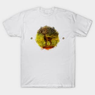 Nature finds expression in the beauty of colors T-Shirt